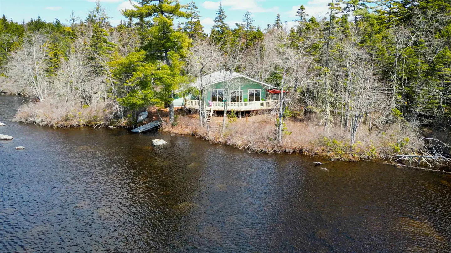Aerial view of a green house with a deck, nestled among trees on the edge of a lake. A small dock sits nearby.