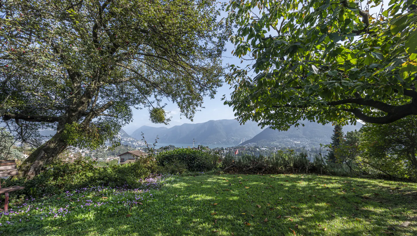 Lush green lawn with trees framing a view of mountains and a lake in the distance. A bench sits to the left.