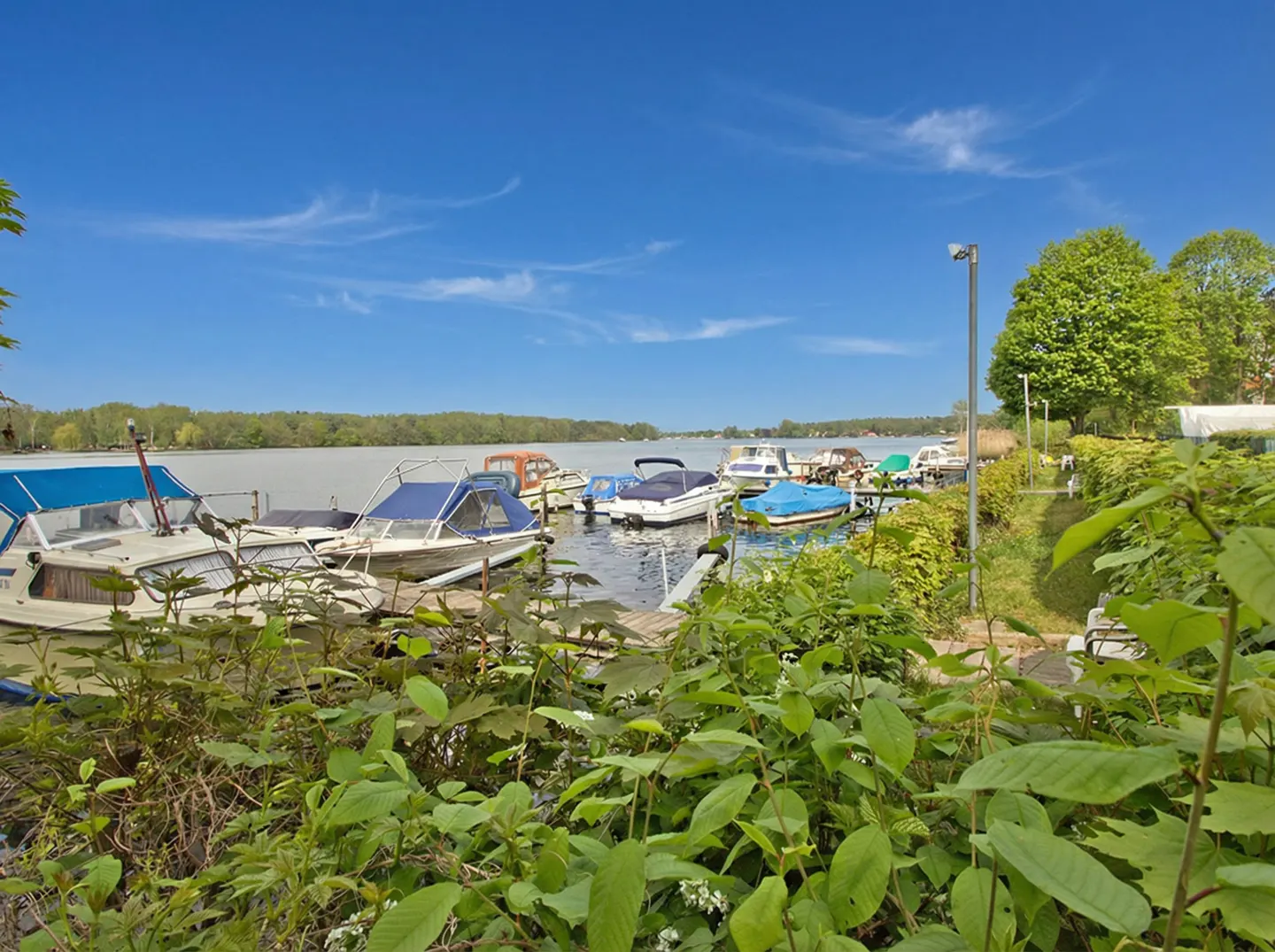 Boats docked on a lake under a blue sky, viewed through green foliage.
