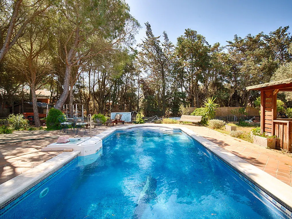 A rectangular blue swimming pool surrounded by trees and greenery on a sunny day.