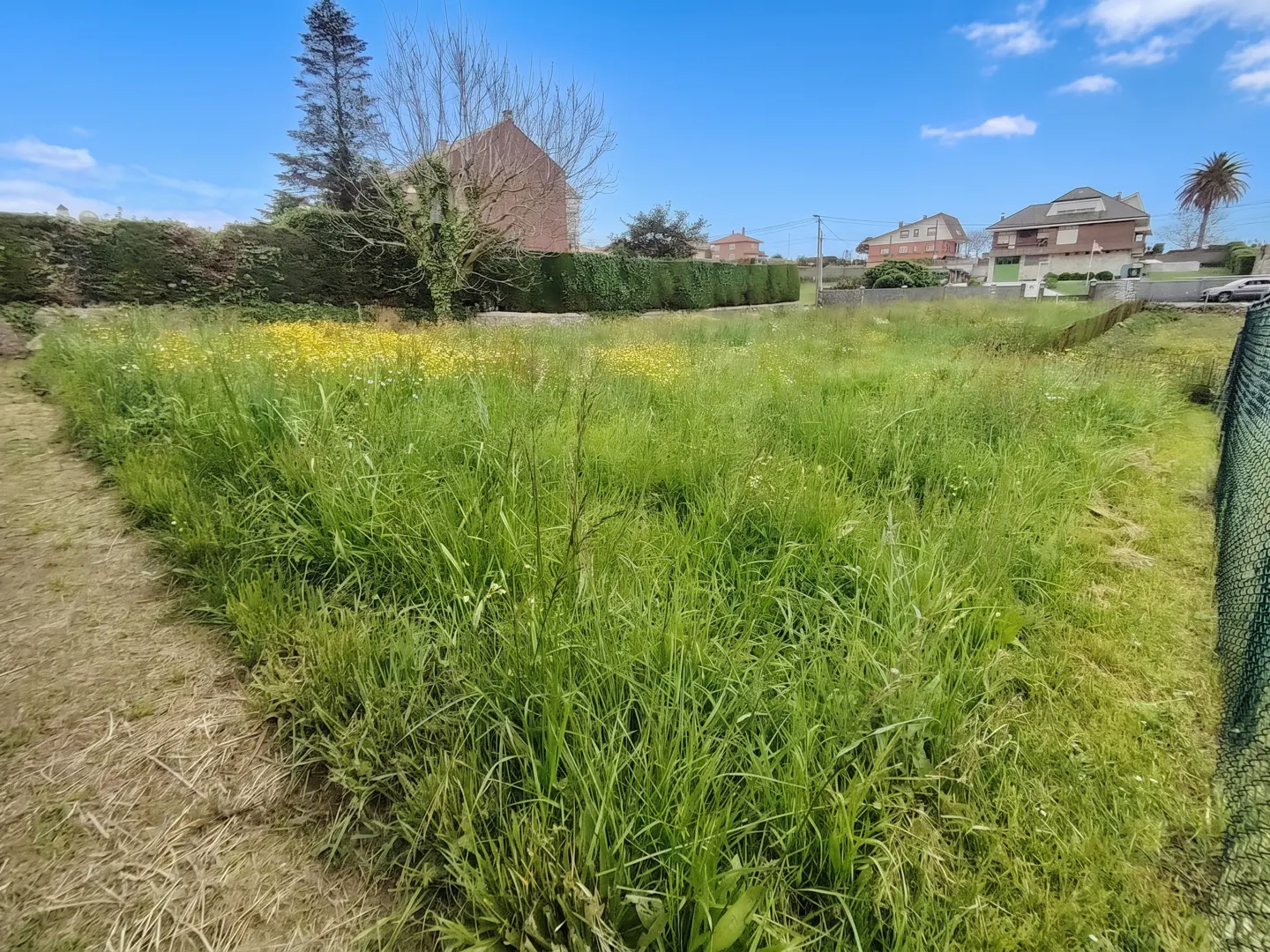 [AI-generated photo]