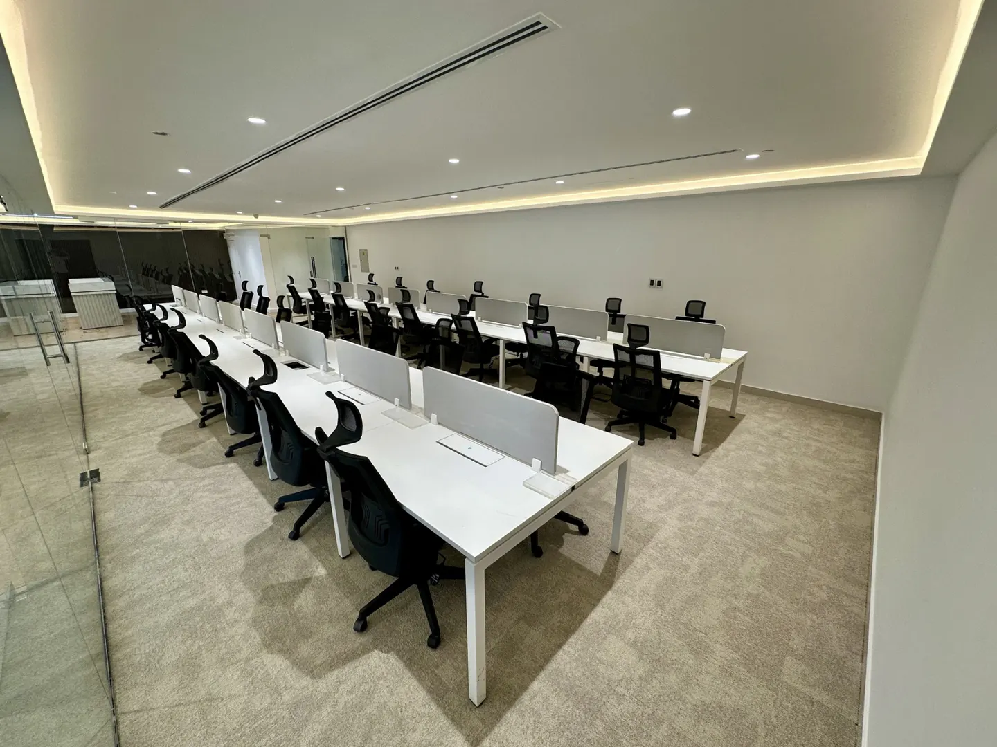 Bright office space with rows of white desks and black chairs. Each desk has a gray privacy screen. The floor is carpeted in light gray.