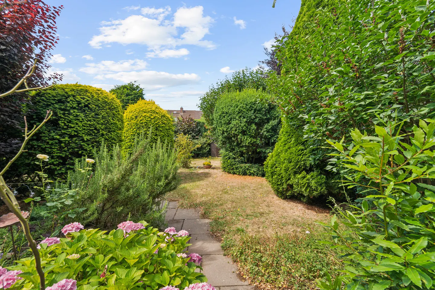 A backyard garden with a stone path, green bushes, pink flowers, and a blue sky with white clouds.