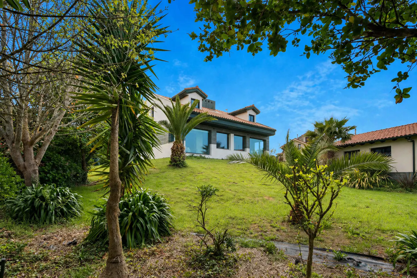 Exterior view of a white house with a red tile roof, large windows, and a green lawn with palm trees under a blue sky.