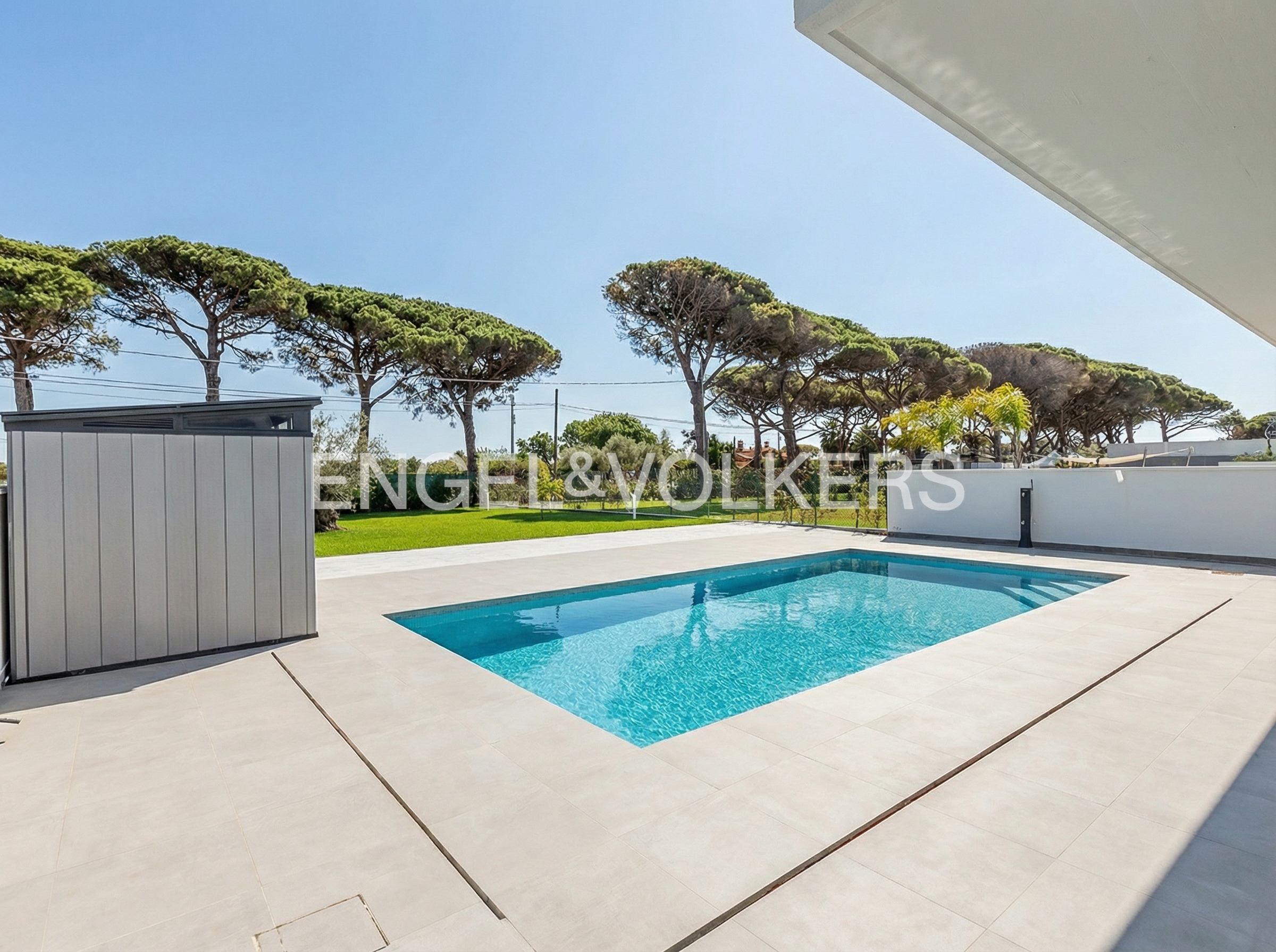 A rectangular swimming pool set in a light-tiled patio with a modern storage shed and a row of pine trees in the background.