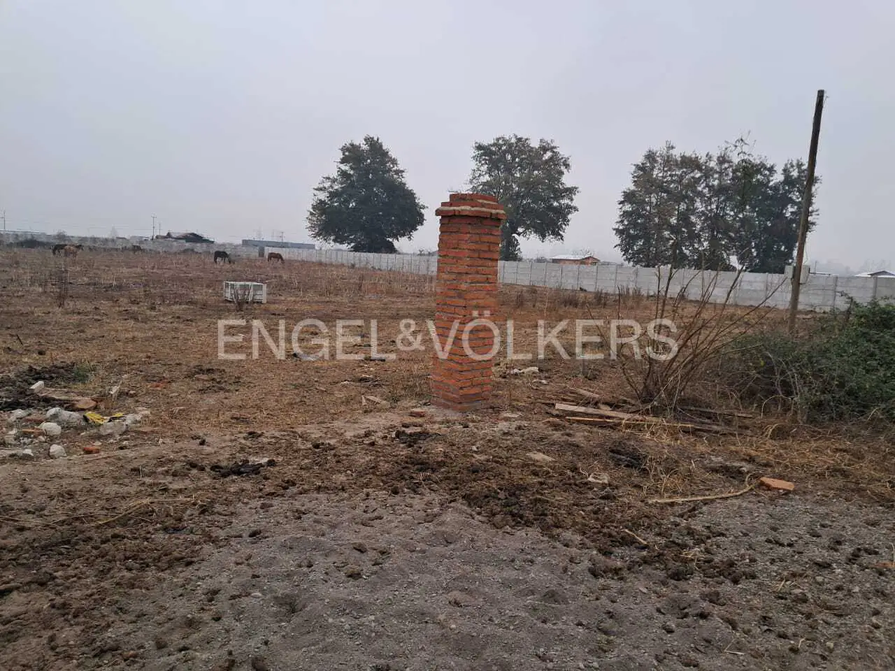 Vacant land with a brick pillar in the foreground, horses grazing in the background, and a concrete fence. Engel & Völkers logo visible.