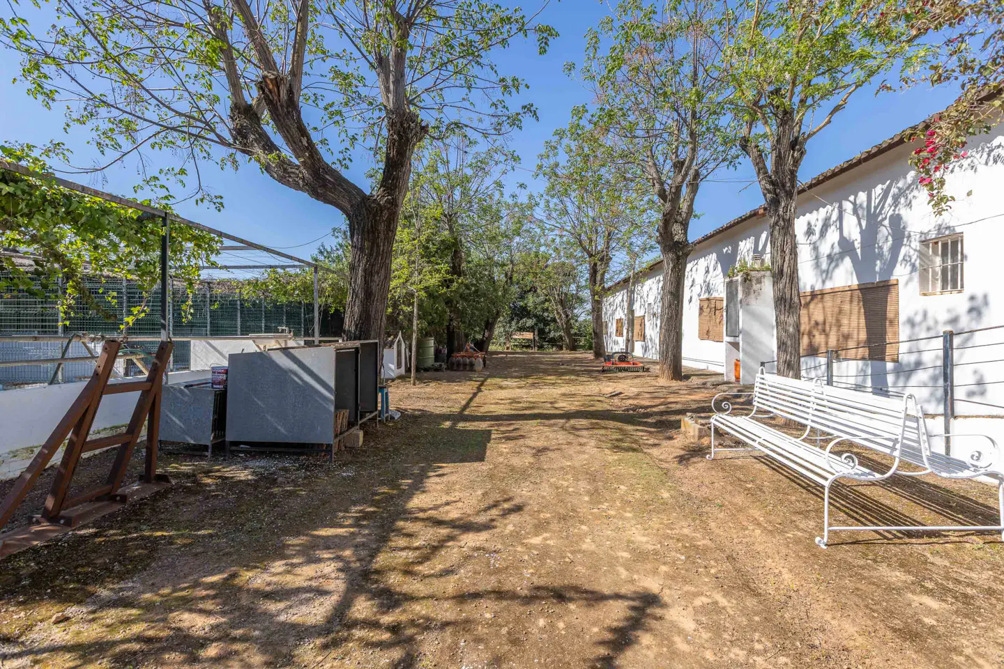 Exterior view of a white building with a white bench, trees, and a dirt path on a sunny day.