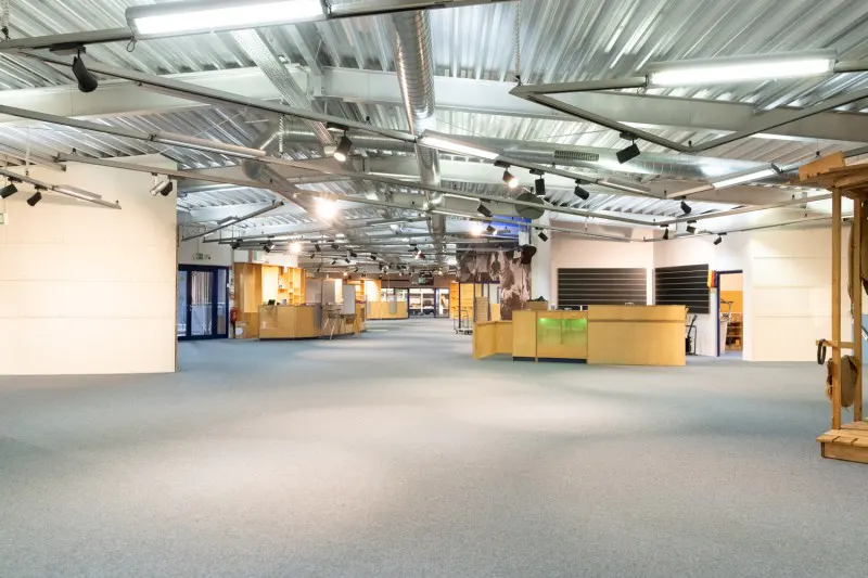 An empty retail space with blue carpet, light wood counters, and a high, exposed ceiling with lights.