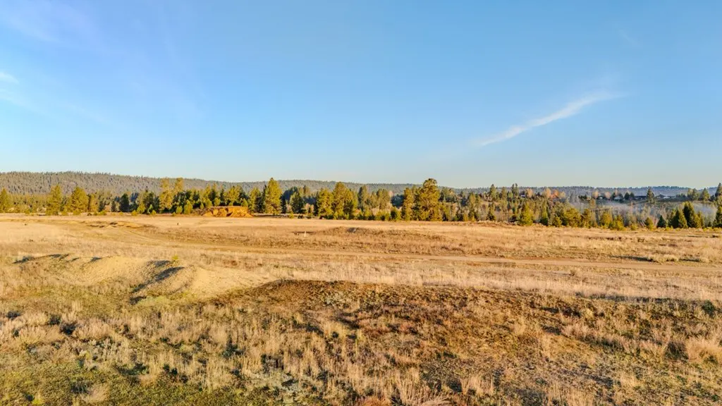 Open field with dry grass and trees under a blue sky.