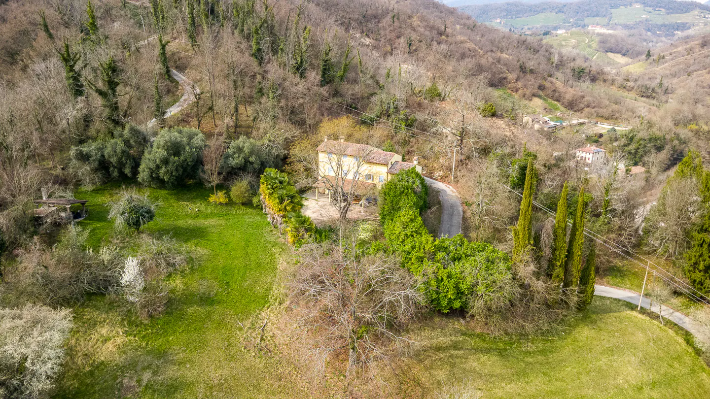 Aerial view of a yellow house nestled in a green, tree-covered hillside with a winding driveway.