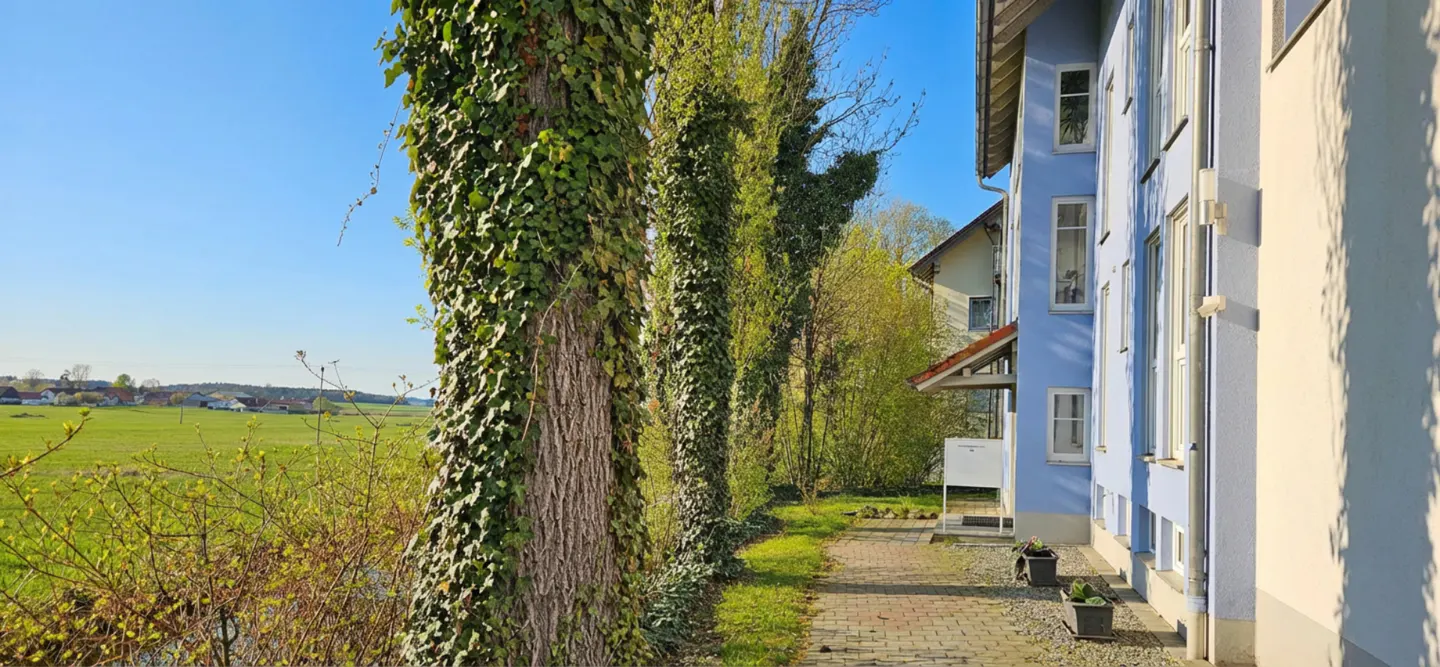 A blue building sits beside a brick path lined with ivy-covered trees, overlooking a green field under a clear blue sky.
