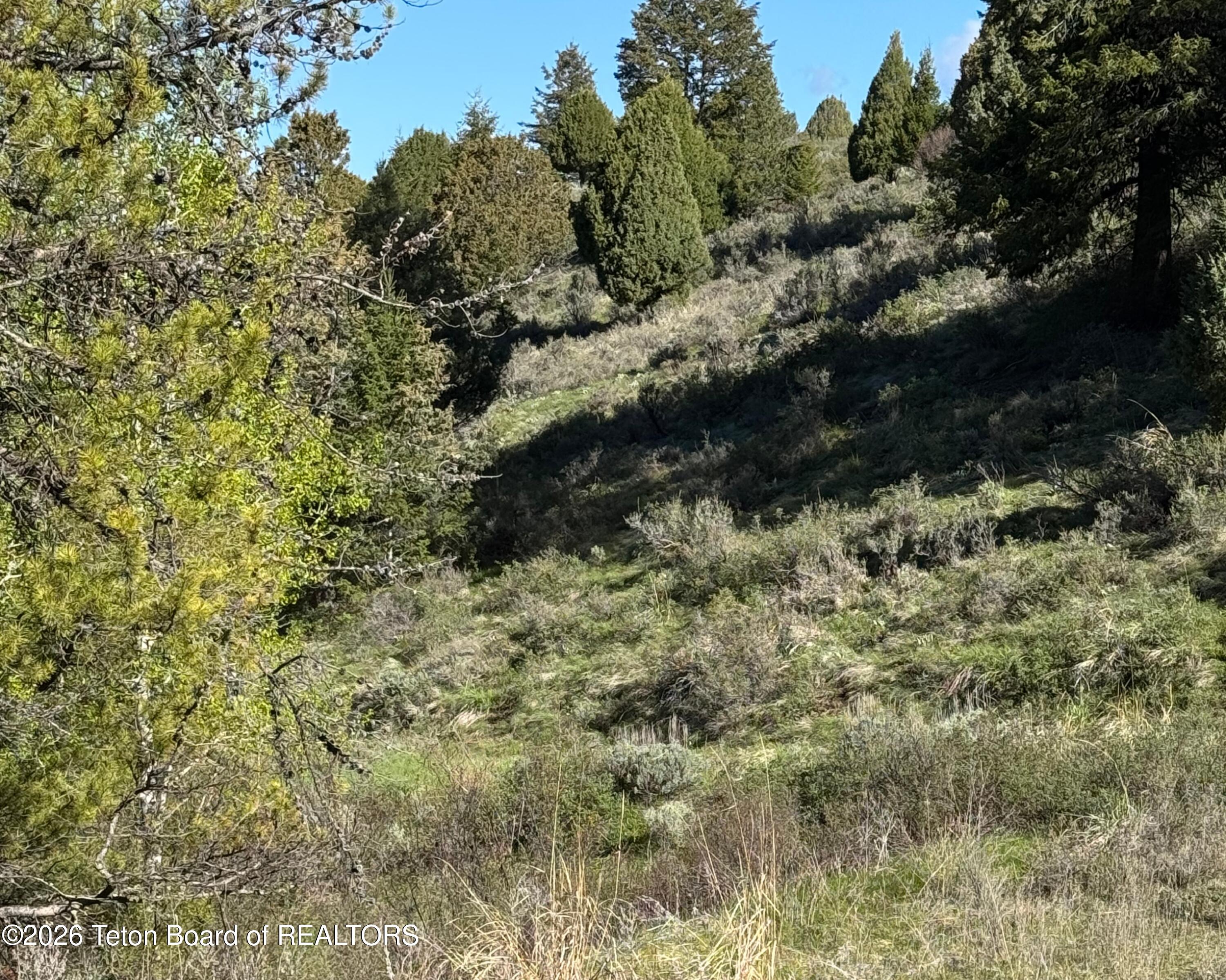Palisades Creek Ranch Irwin Idaho Property