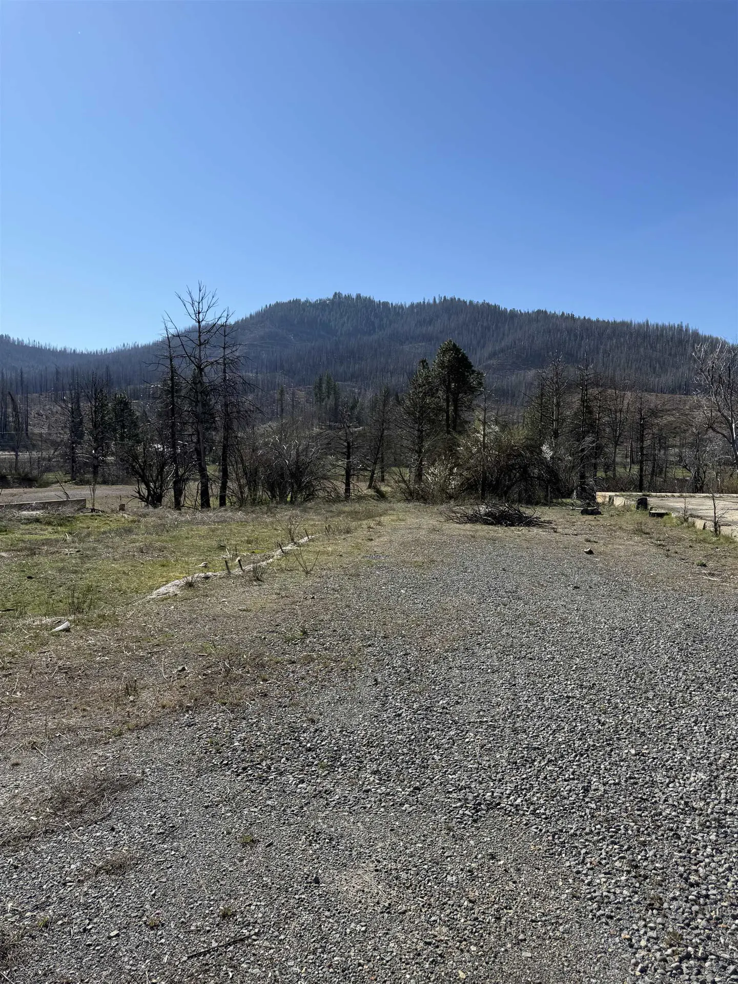 A gravel lot leads to a field with sparse, charred trees against a backdrop of a large, forested mountain under a blue sky.