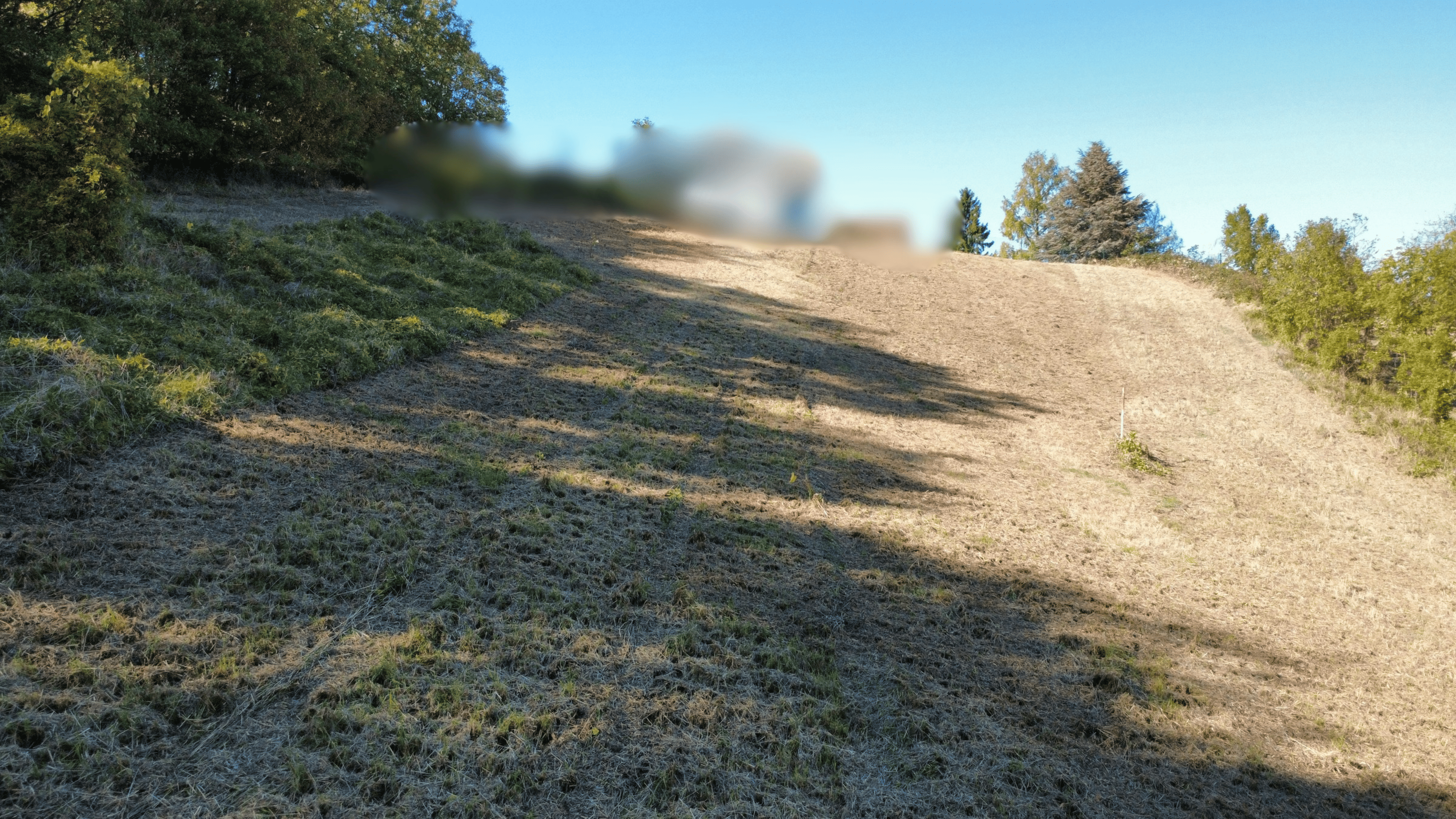 Rare find in nature: First-class plot with enormous development potential