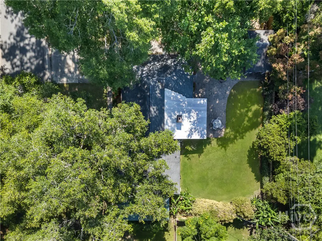 Aerial view of a house with a white roof, a patio with a table, and a green lawn surrounded by lush, mature trees.