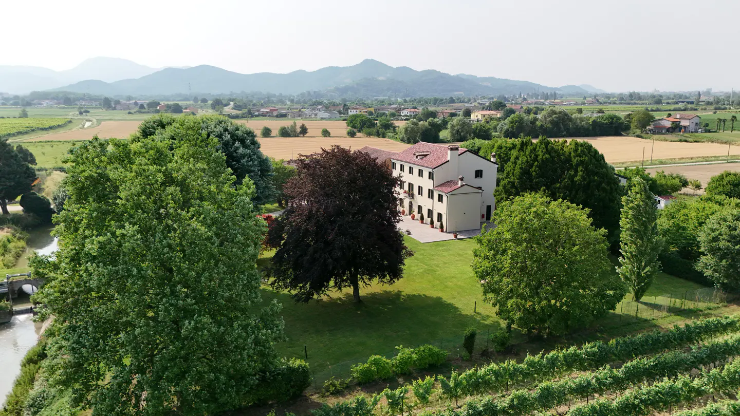 Aerial view of a cream-colored, two-story house with a red tile roof, surrounded by green trees, a lawn, and a vineyard. Mountains are in the background.