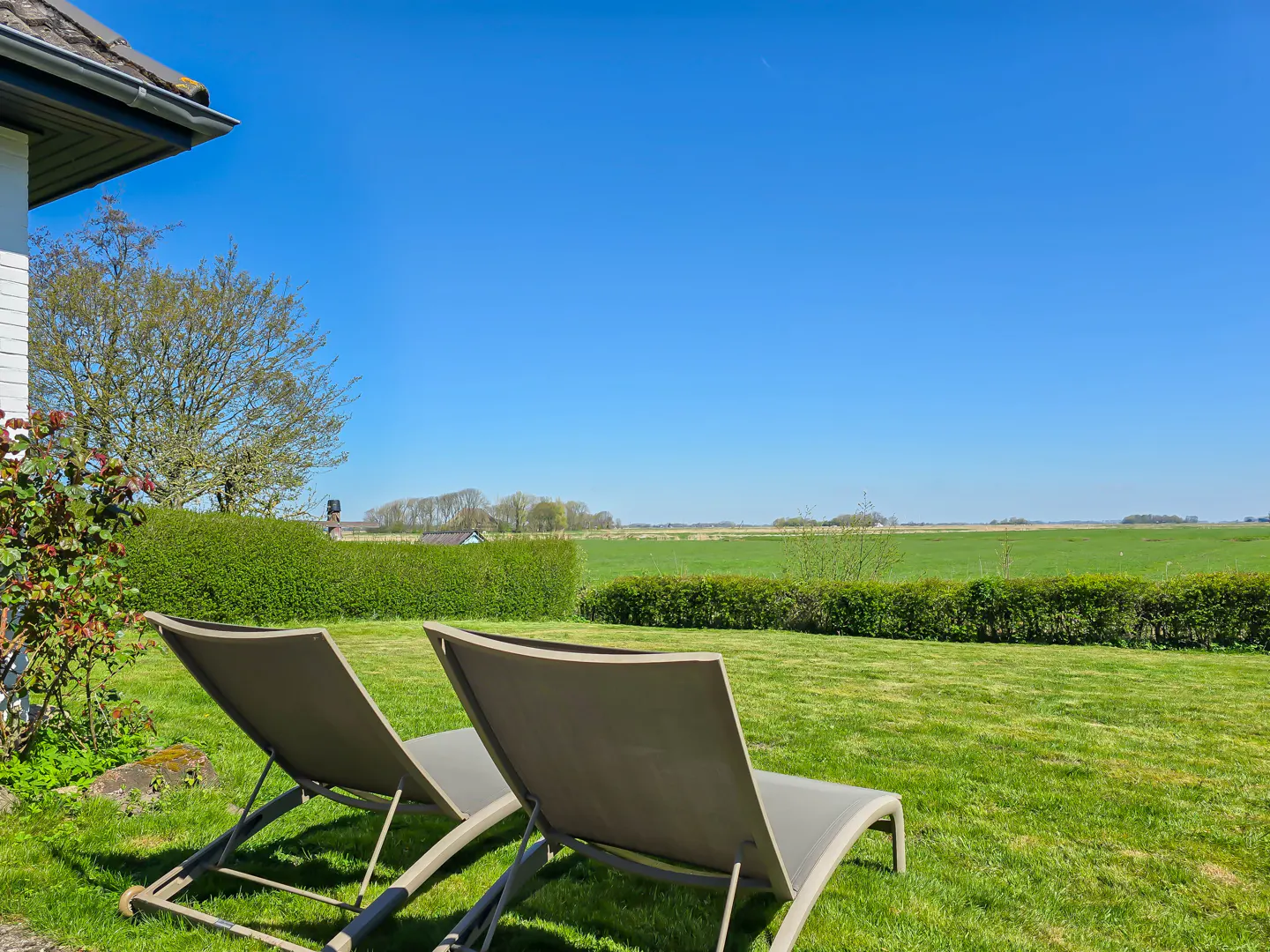 Two lounge chairs sit on a green lawn, facing a hedge and a field under a clear blue sky.