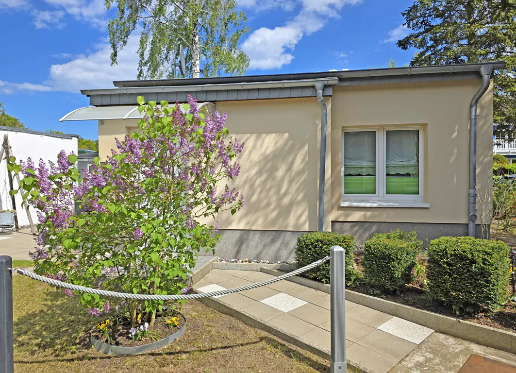 A beige single-story house with a blooming purple lilac bush, a tiled walkway, and green hedges under a blue sky.