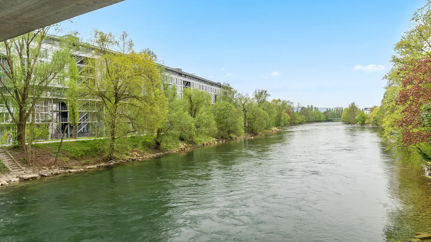 River view of a modern building with green trees under a blue sky.