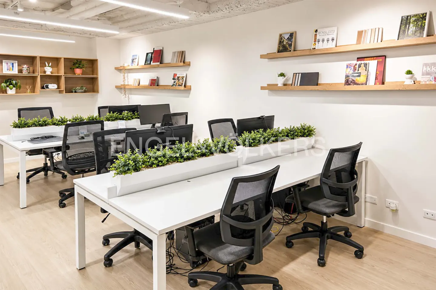 Bright office space with white desks, black chairs, and greenery in planters. Shelves with books and decor line the walls.