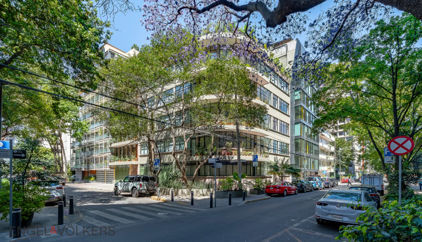 Street view of a modern apartment building with large windows, surrounded by green trees and parked cars on a sunny day.