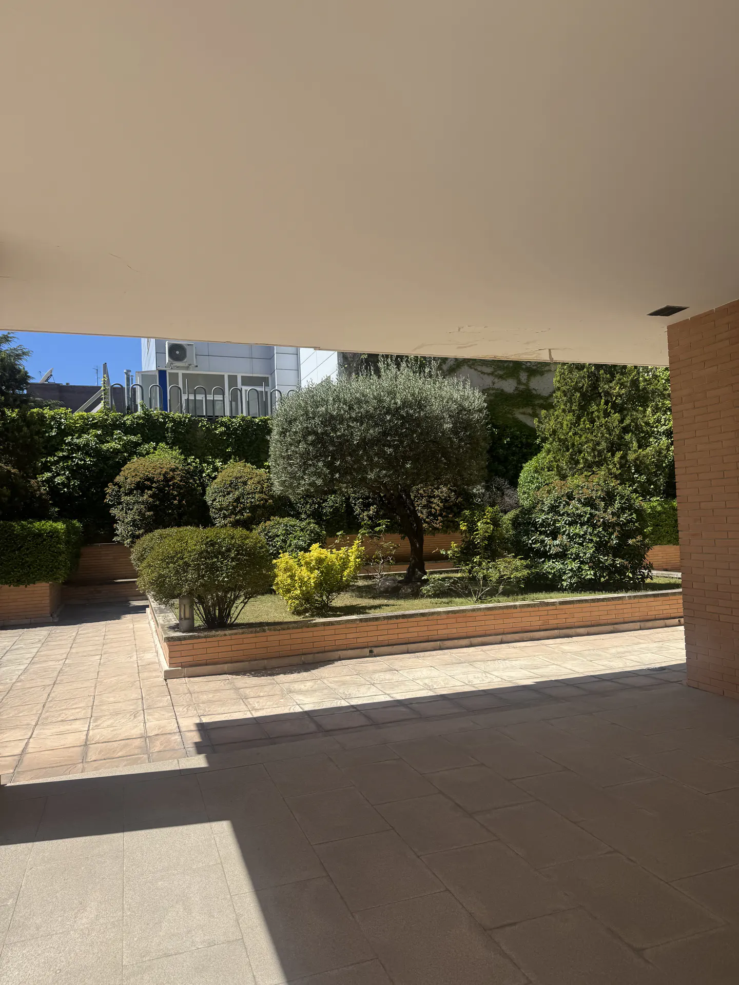 View from a covered patio looking out to a garden with trees, bushes, and a brick border.