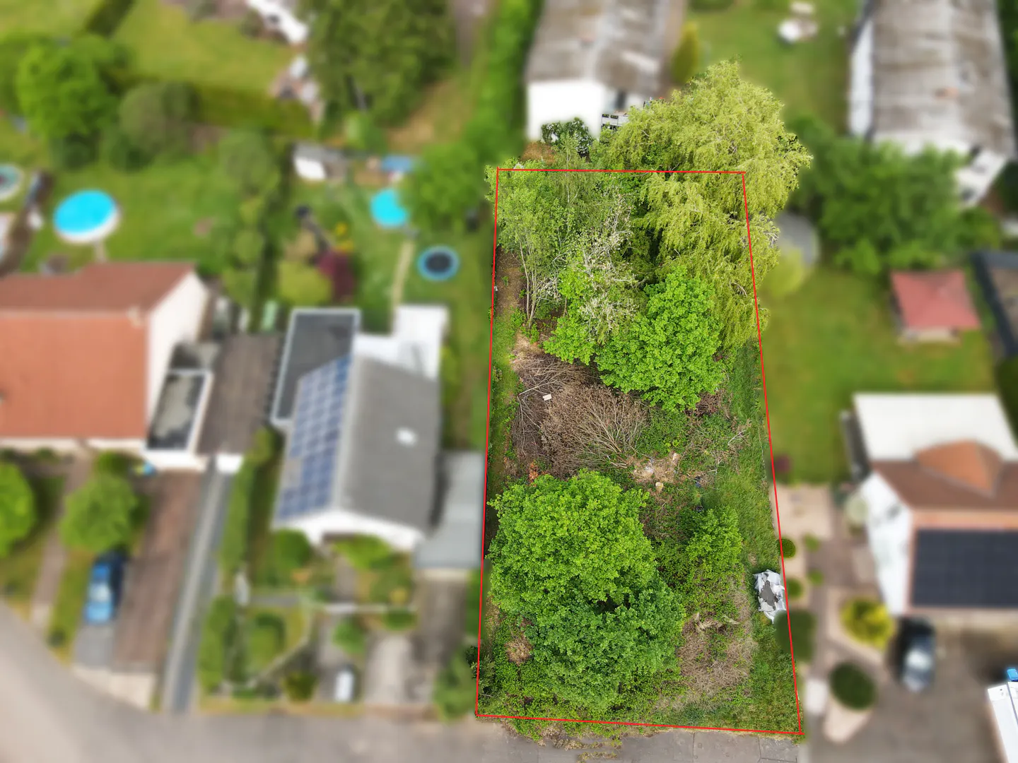Aerial view of a vacant lot with green trees, outlined in red, surrounded by houses in a residential neighborhood.