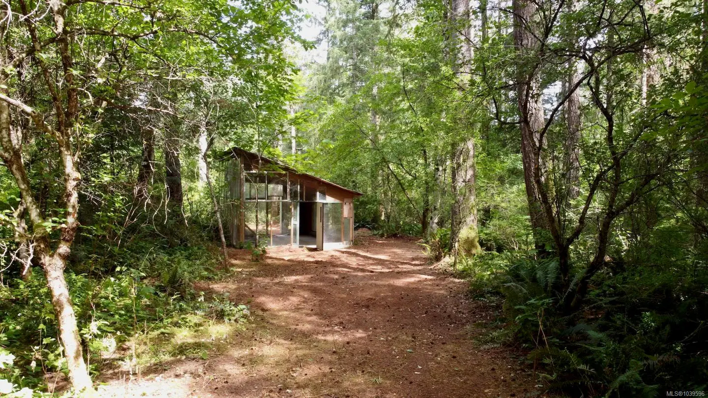 A small, modern wooden cabin with large glass windows sits at the end of a dirt path in a lush, green forest.
