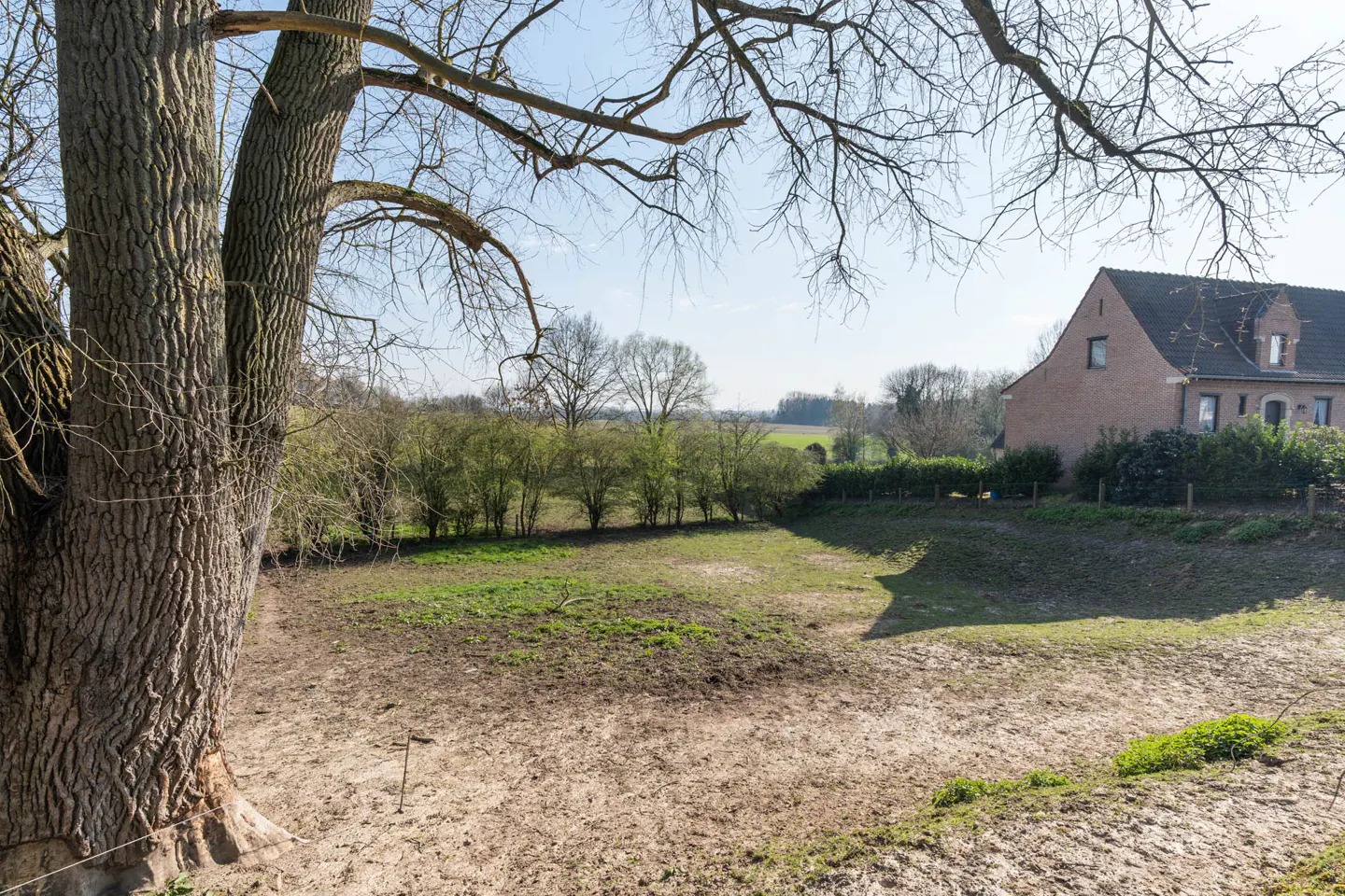 Vacant lot with a large tree on the left, brown dirt, green grass, and a brick house in the background.