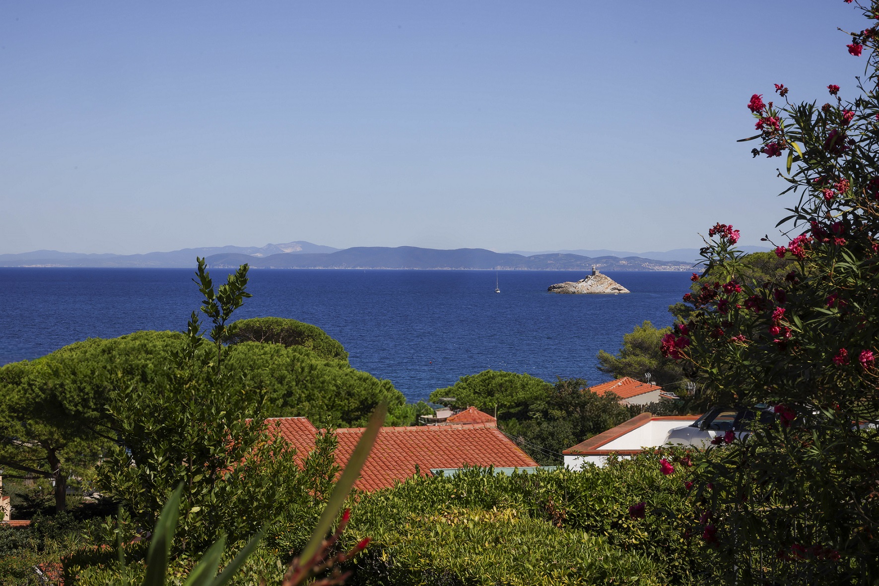View of the blue sea and a distant rocky island from a garden with red flowers, green trees, and terracotta roof tiles. [AI-generated text]