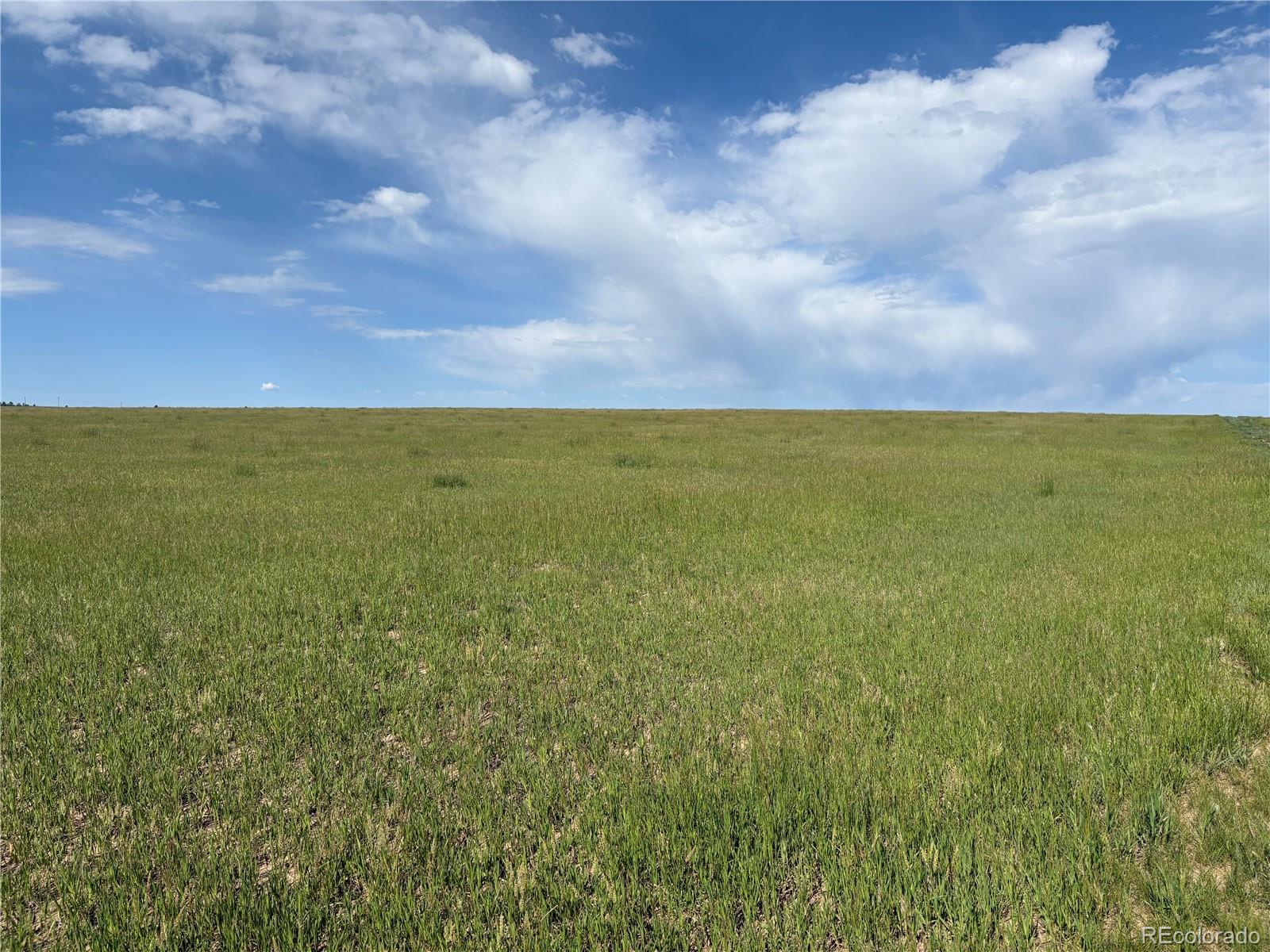 Rolling Pasturelands in Elbert, Colorado
