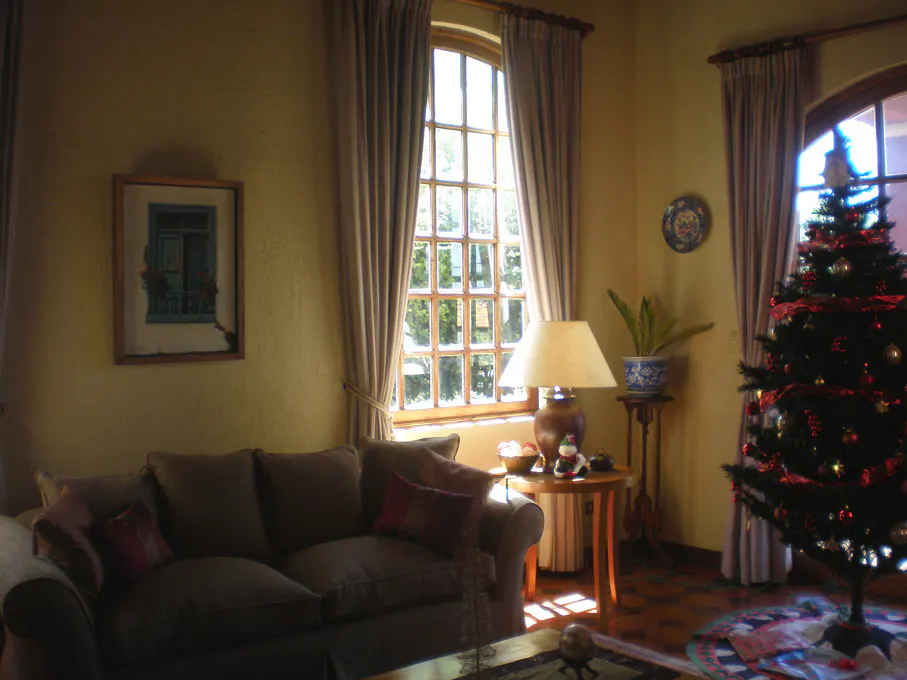 Living room with a brown sofa, a Christmas tree, and a window with beige curtains.