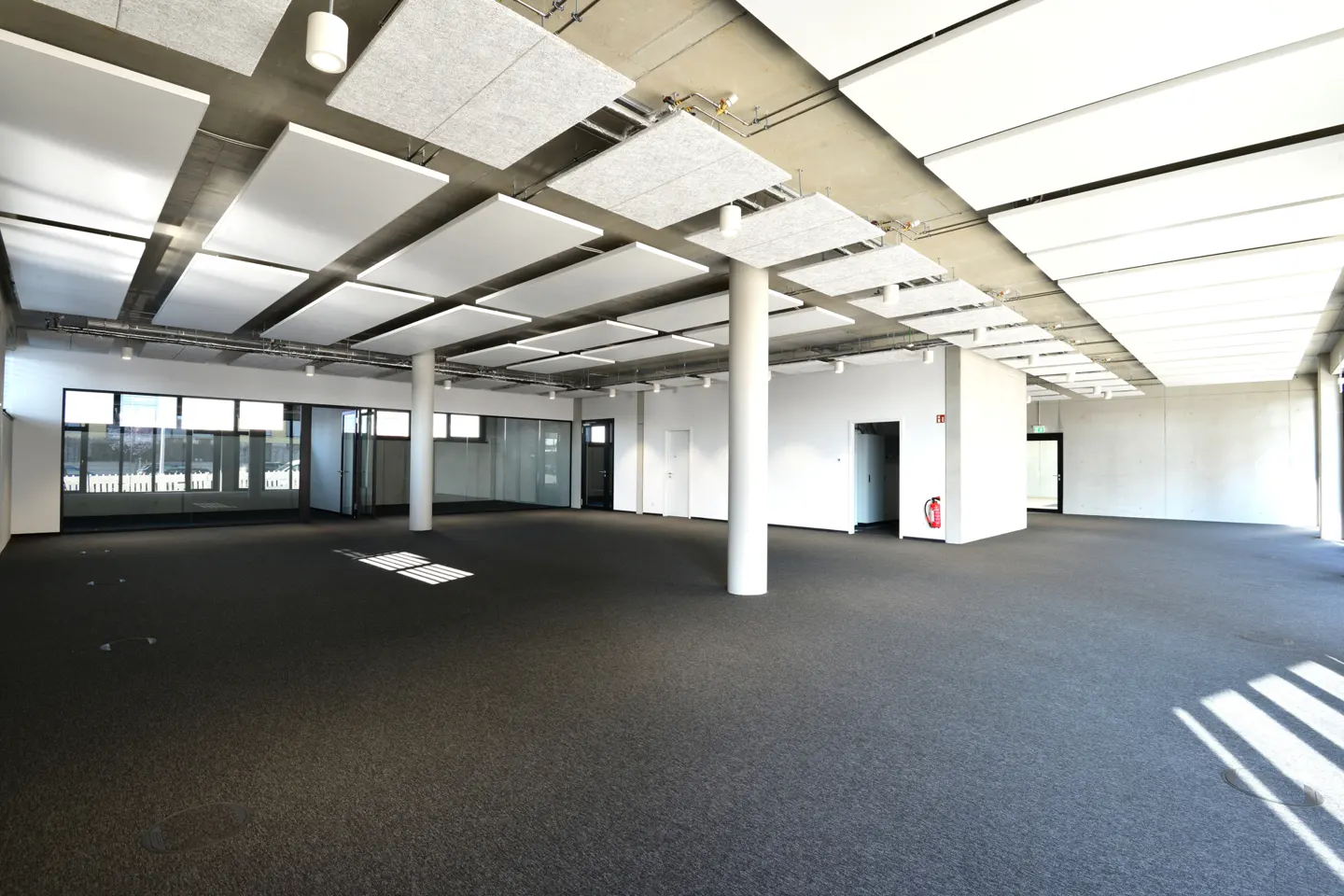 Large, empty office space with gray carpet, white walls, and white acoustic panels on the ceiling. Natural light streams in from windows.