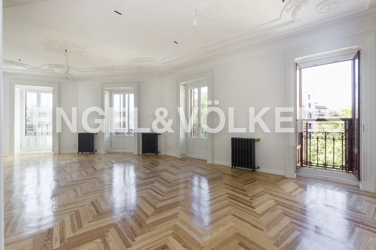 Stunning apartment in Trafalgar district for rent