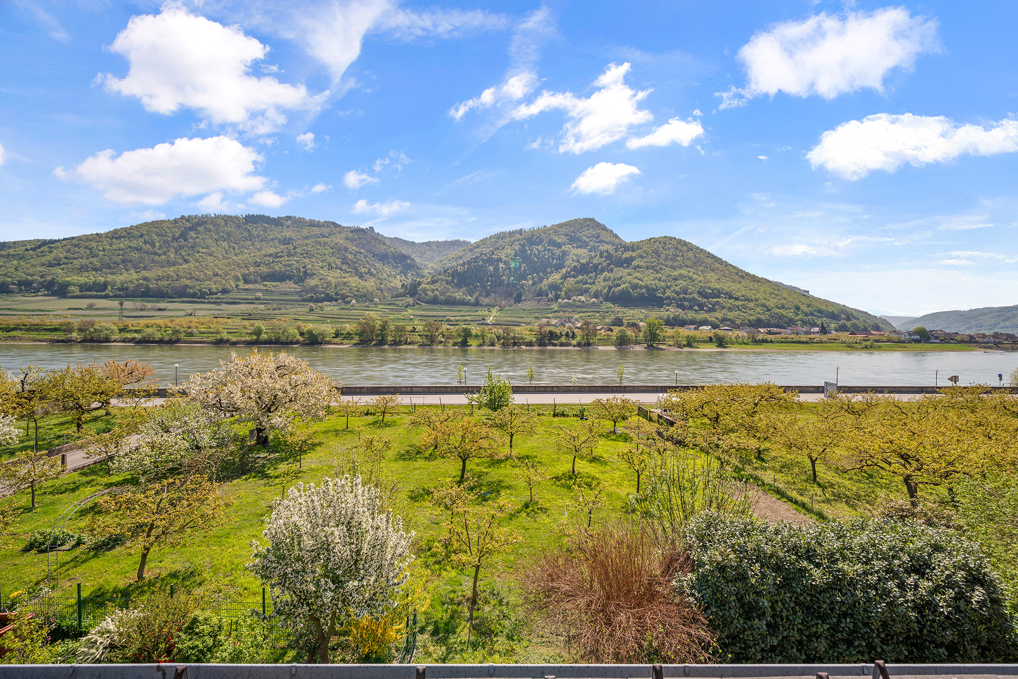 Aufwachen mit Donaublick: Ihr Logenplatz in Spitz an der Donau
 – Leben, wo die Wachau am schönsten ist