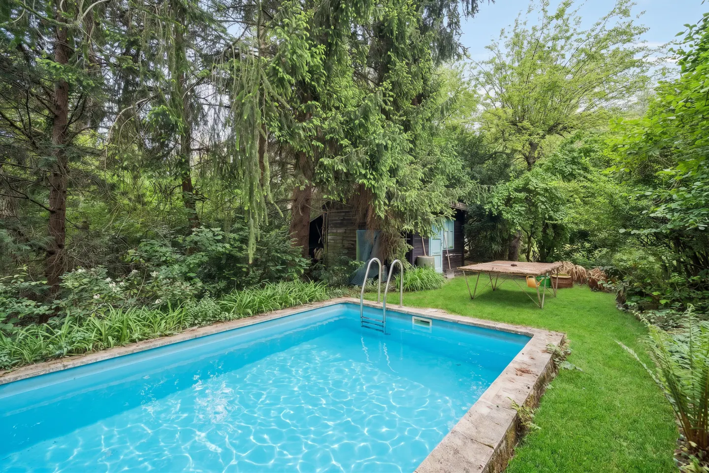 A backyard pool with clear blue water, surrounded by lush green trees and a small wooden shed.