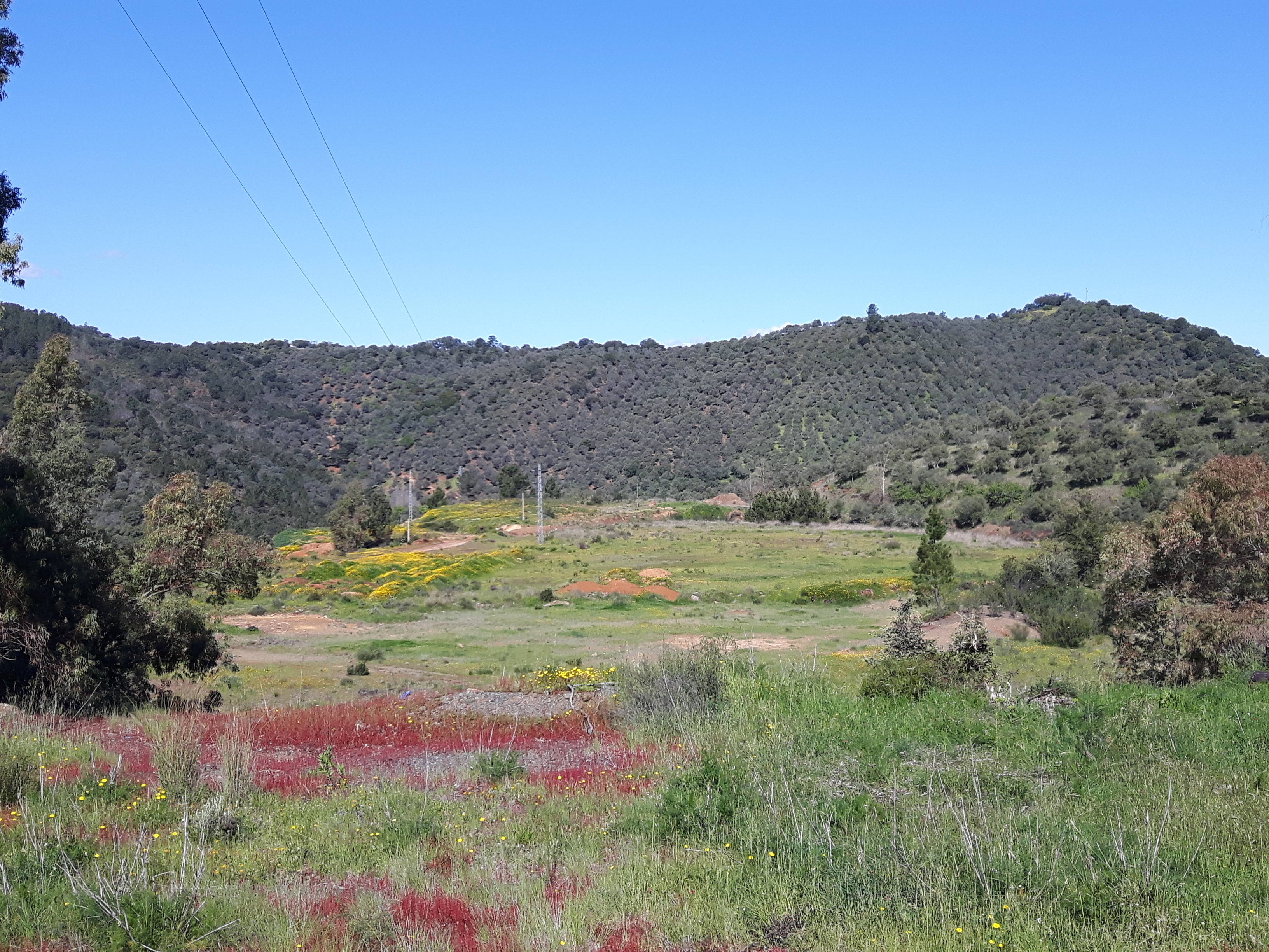 Finca de 27 La Nava Huelva