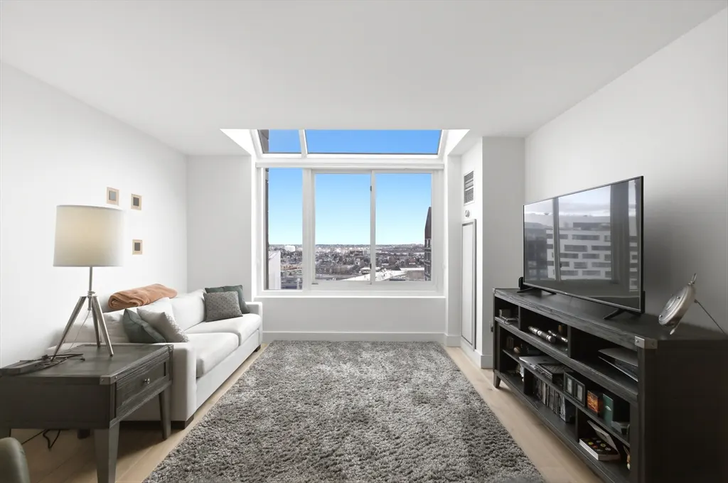 Bright living room with a white sofa, gray rug, and a large window overlooking a city skyline. A TV sits on a dark wood stand.