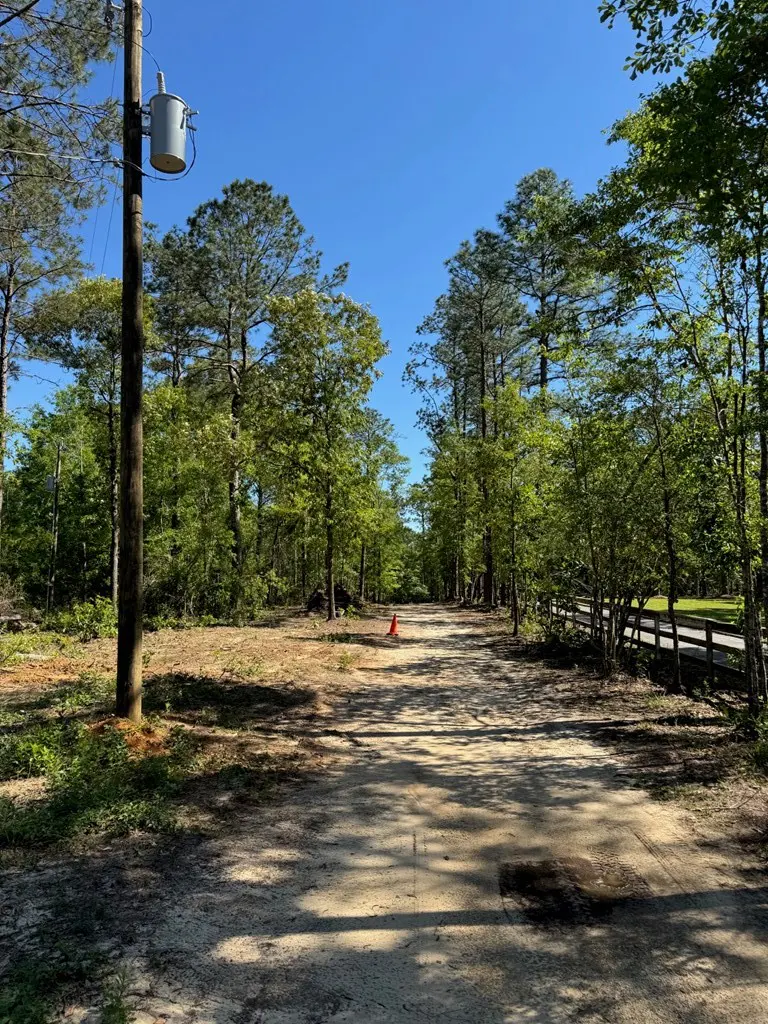 A dirt road leads through trees under a blue sky. An orange cone sits in the distance. A utility pole stands to the left.