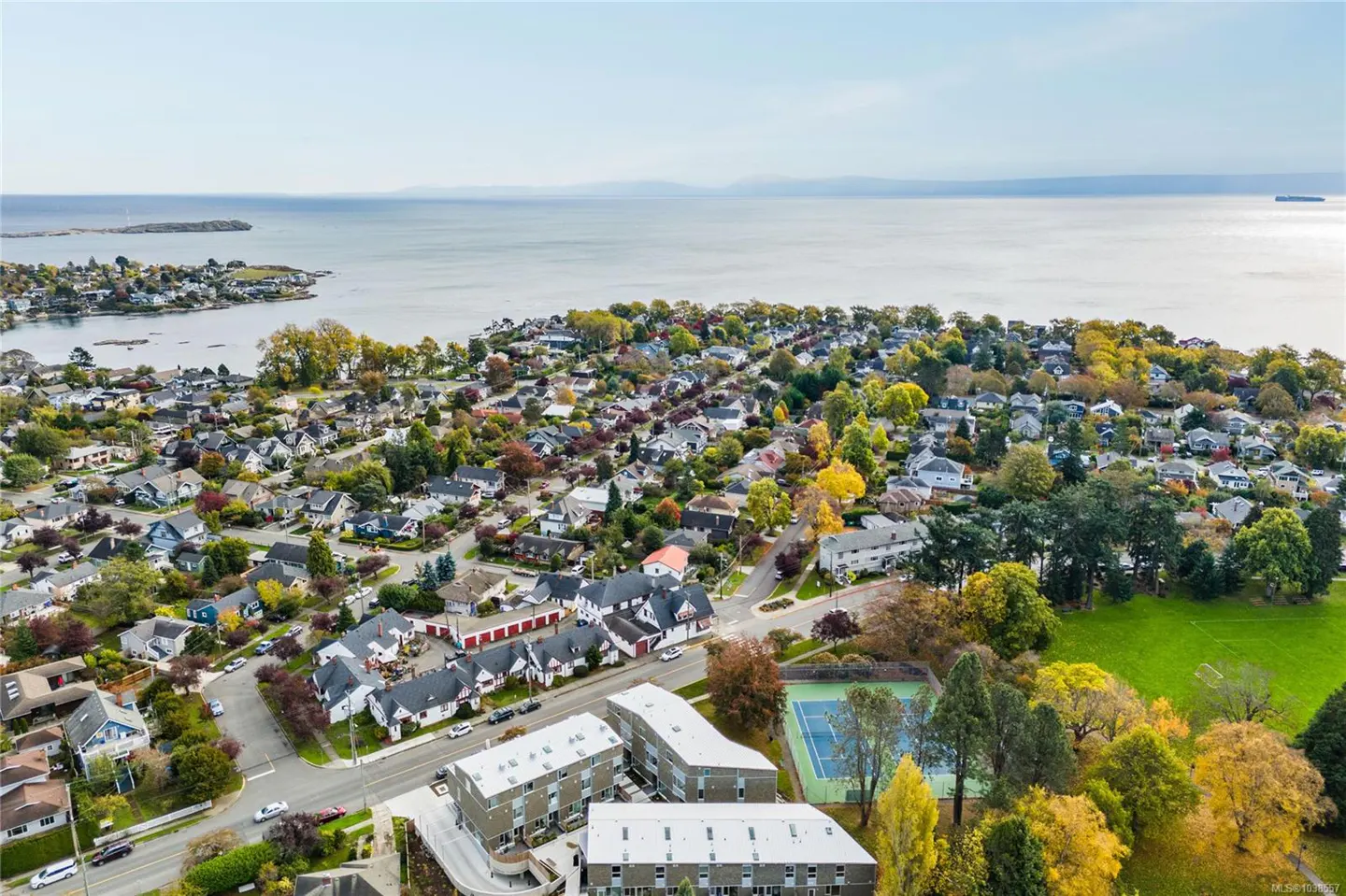 Aerial view of a residential neighborhood with colorful trees near the ocean.