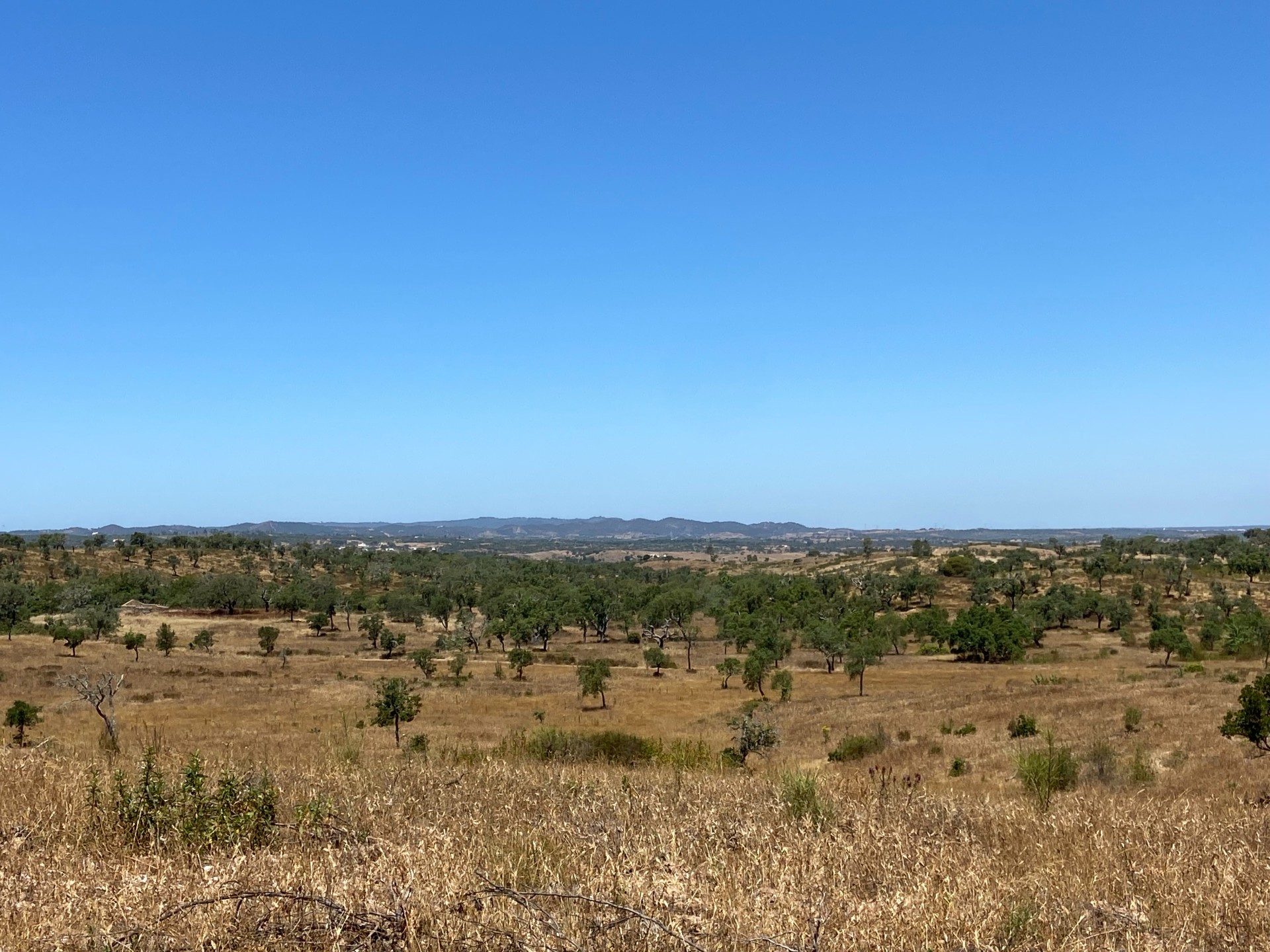 Refúgio Exclusivo em Grândola: Quinta com 35 Hectares e Potencial Ilimitado