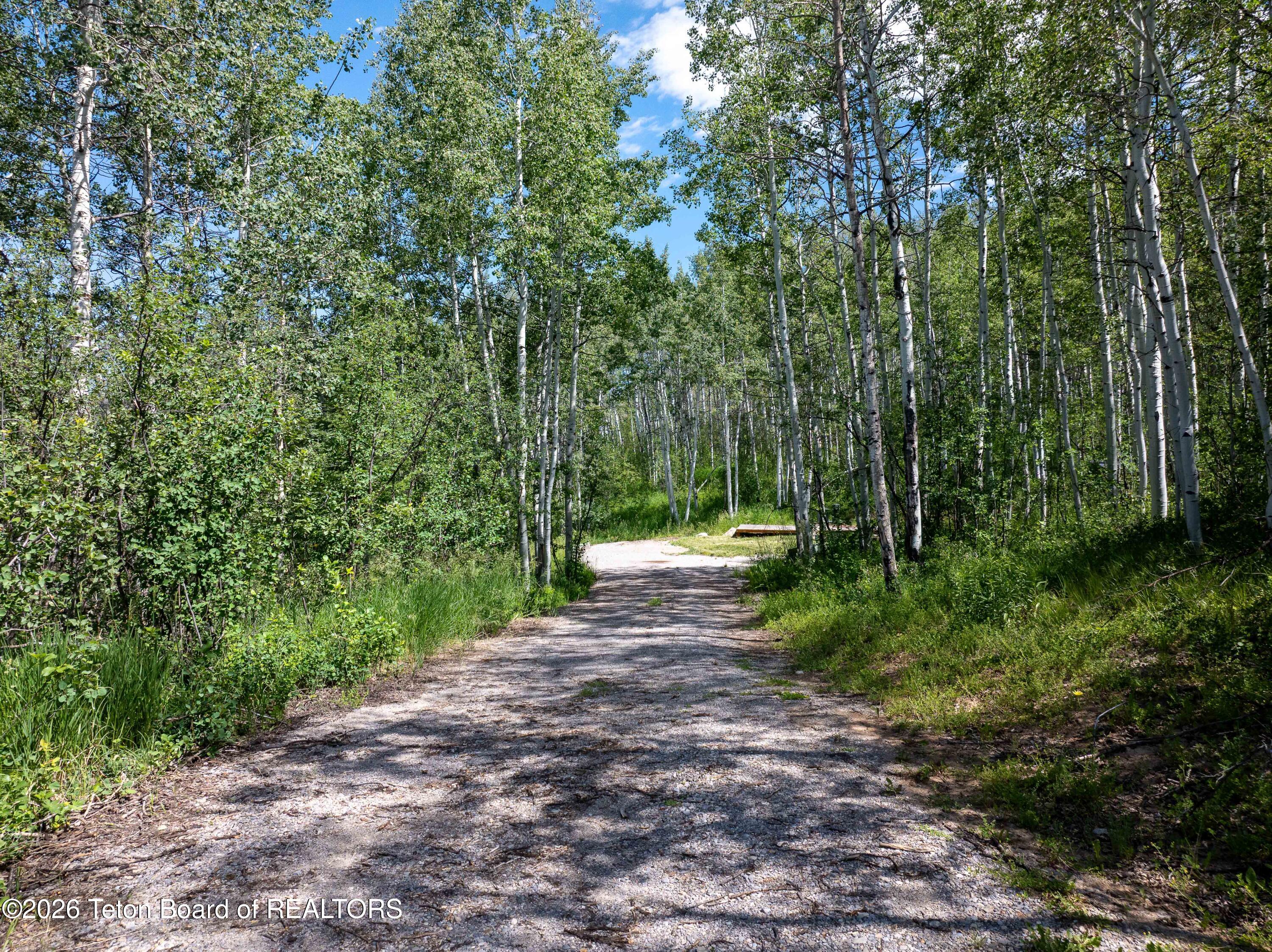 Quiet Wooded Star Valley Acreage with Endless Potential