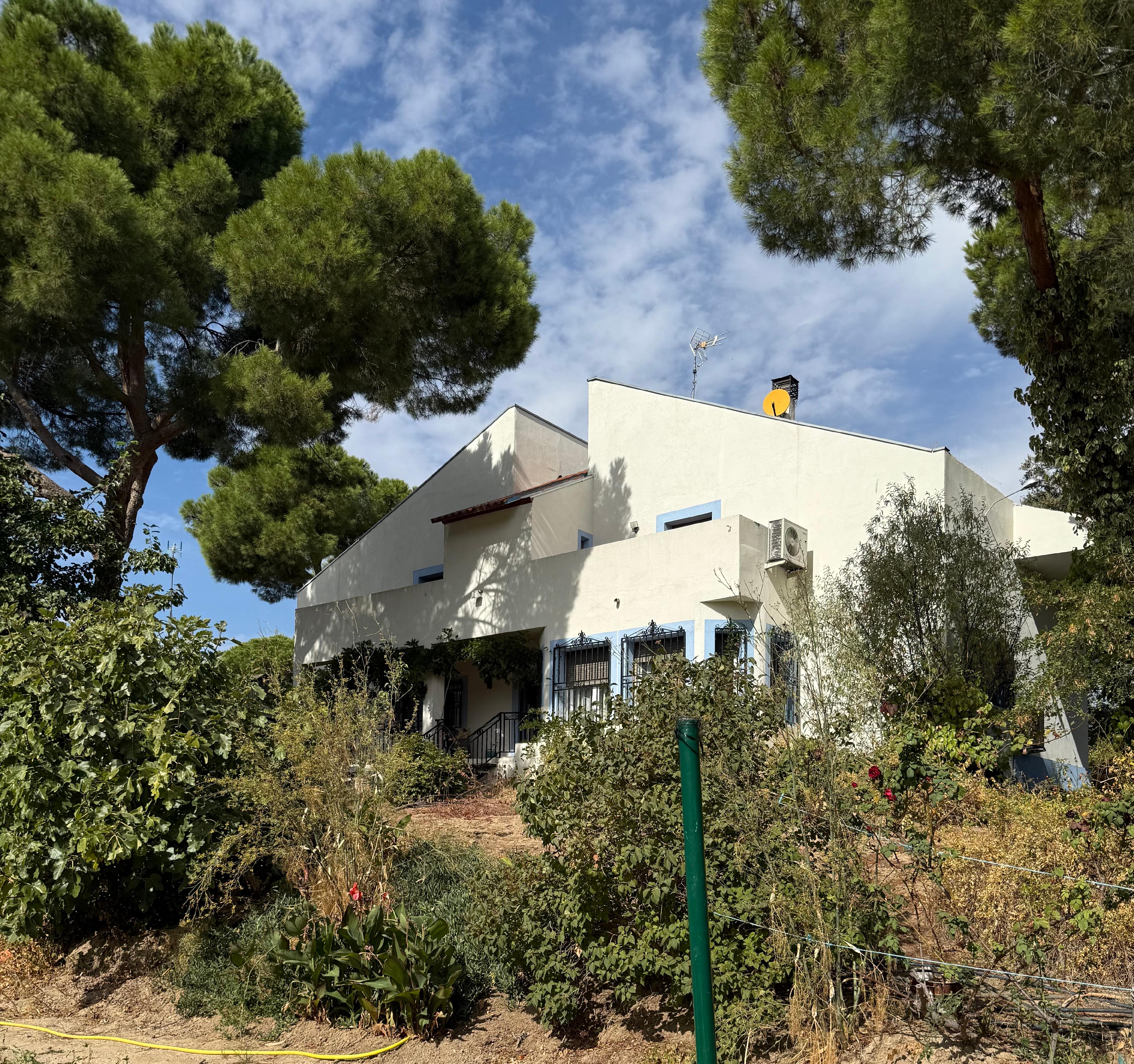 Detached chalet in Montealina