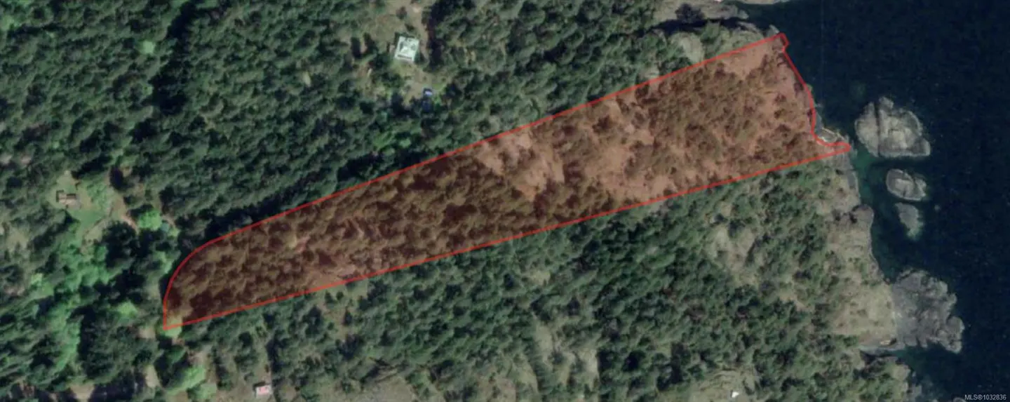 Aerial view of a wooded lot outlined in red, bordering the ocean with rocky outcrops.