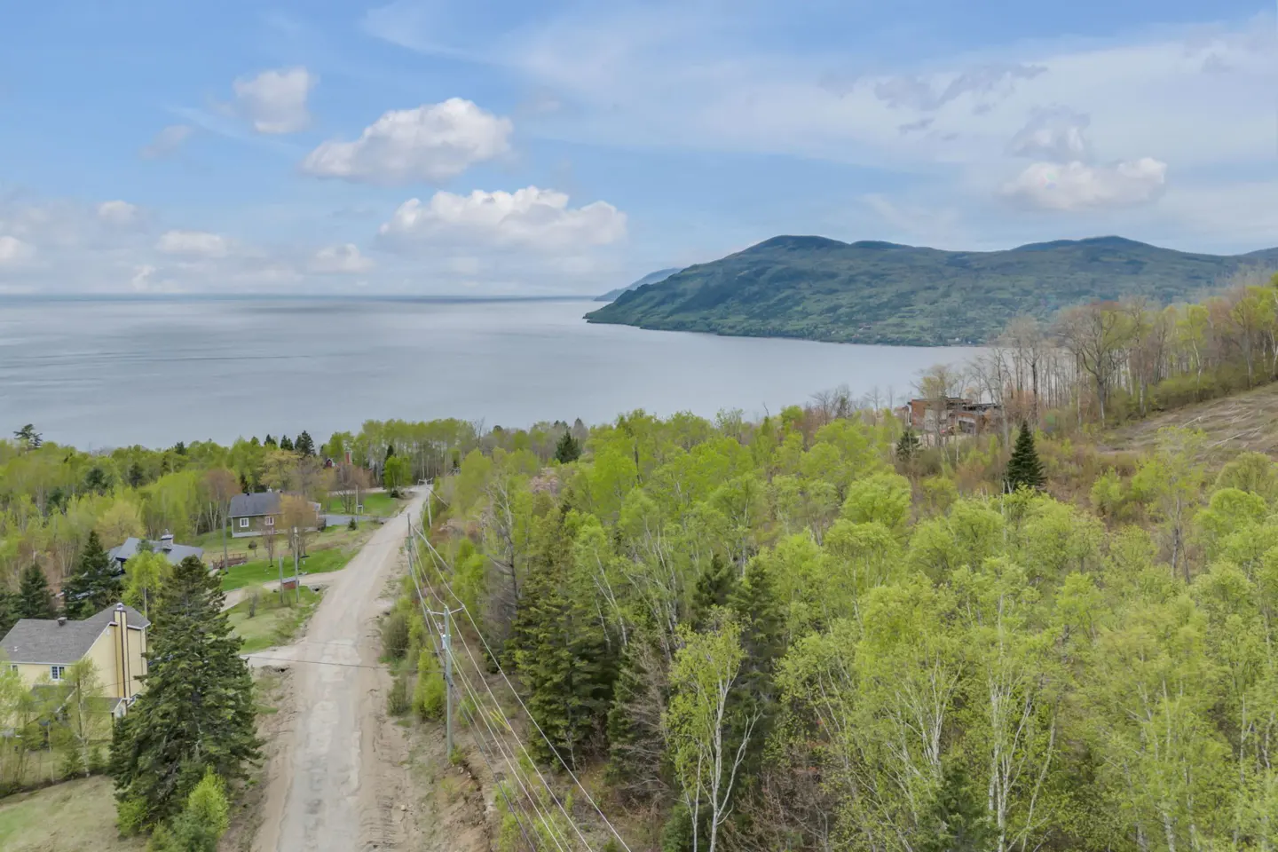 Aerial view of a dirt road winding through a lush green forest toward a large lake and distant mountains under a blue sky.