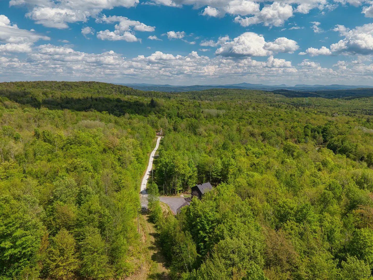 Aerial view of a dark house nestled in a lush green forest with a long driveway under a blue sky with white clouds.