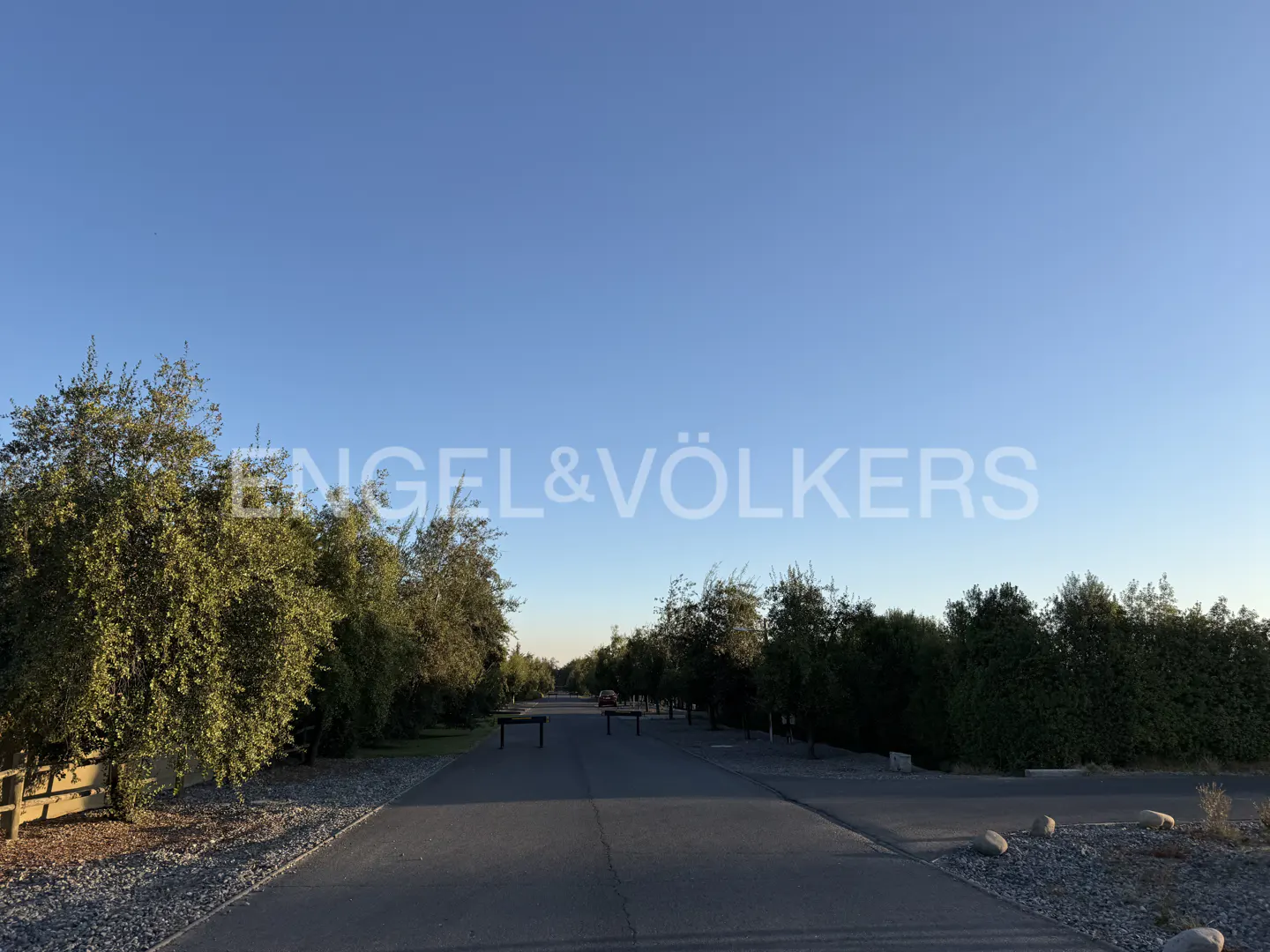 A long driveway lined with trees leads to a property under a clear blue sky. The Engel & Völkers logo is superimposed on the image.