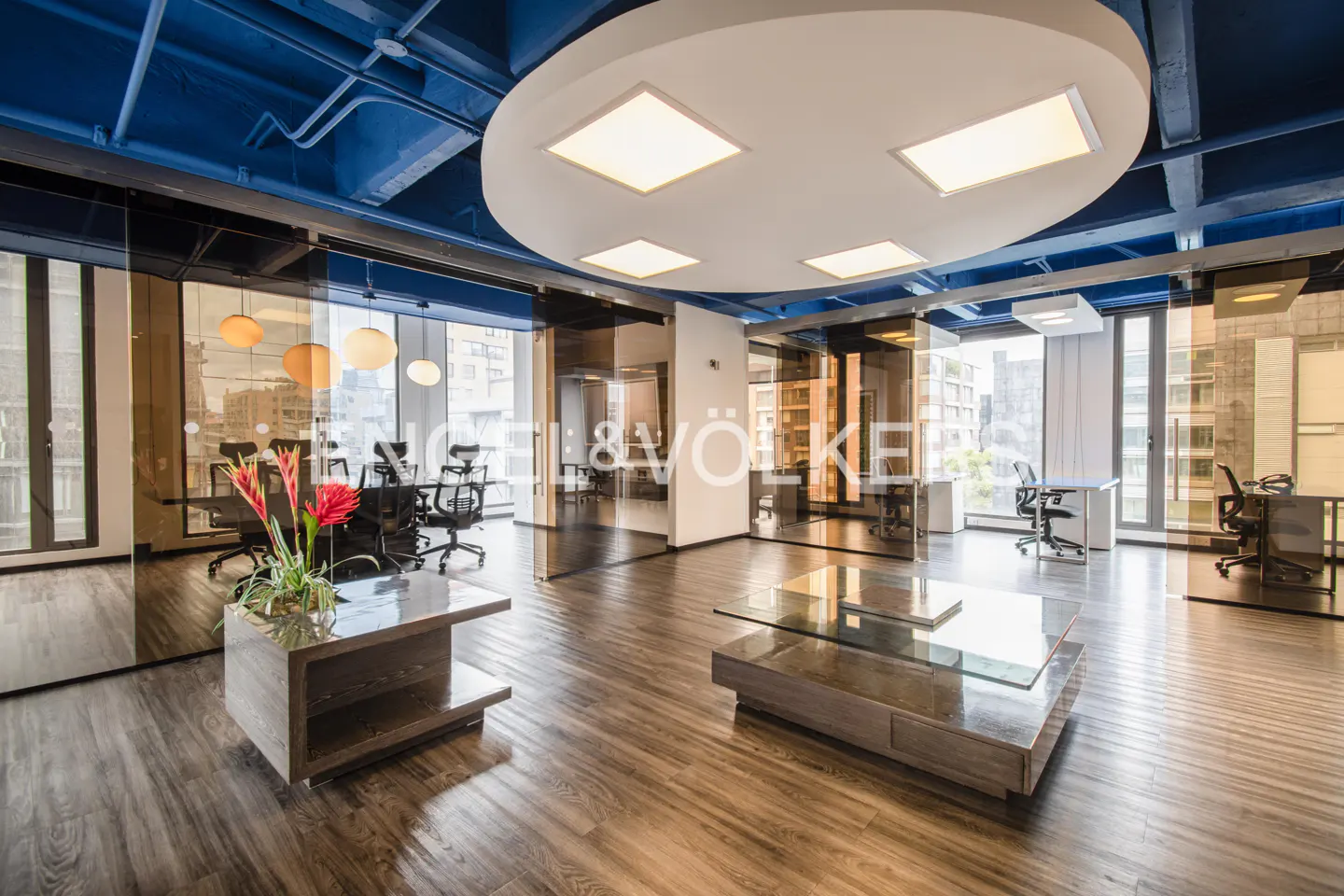Modern office space with glass-walled offices, wood floors, and a blue ceiling. A coffee table with red flowers sits in the foreground.