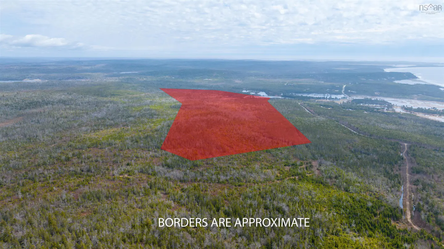 Aerial view of a wooded lot with approximate borders outlined in red, near a coastline.