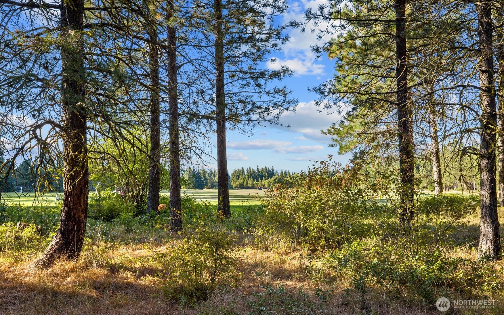 Premiere Tumble Creek Getaway